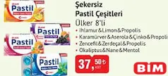 ÜLKER ŞEKERSİZ PASTİL ÇEŞİTLERİ 8'Lİ fiyat ve kampanya bilgisi